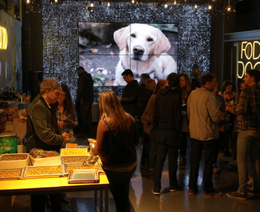 u3744633422_dog_food_launch_party_with_a_dog_on_a_light_up_sc_1961c5d7-d151-45a5-a251-c5e485c3761f_1